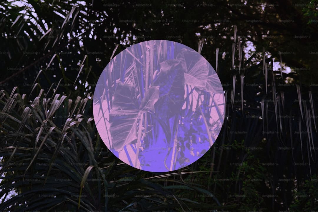 AI赋能中医药:超级医师“中医优势病种AI量效模型”引重视